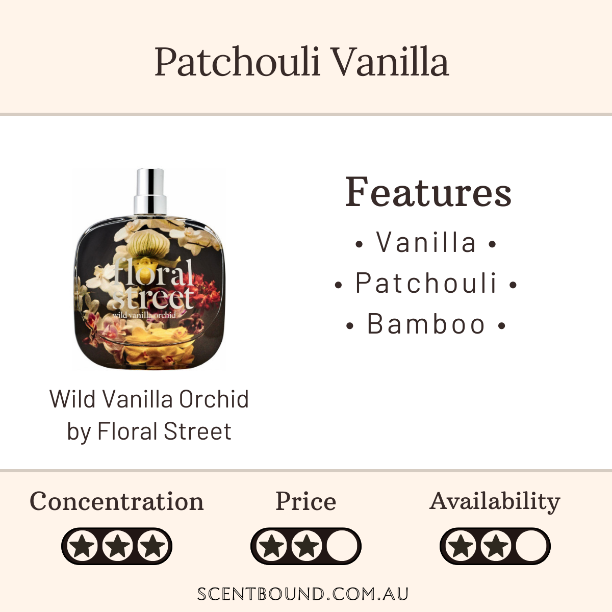Wild Vanilla Orchid by Floral Street