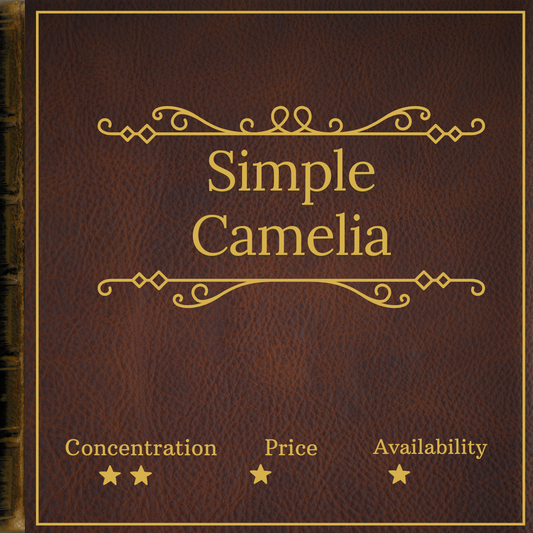 Camelia by Monotheme Venezia