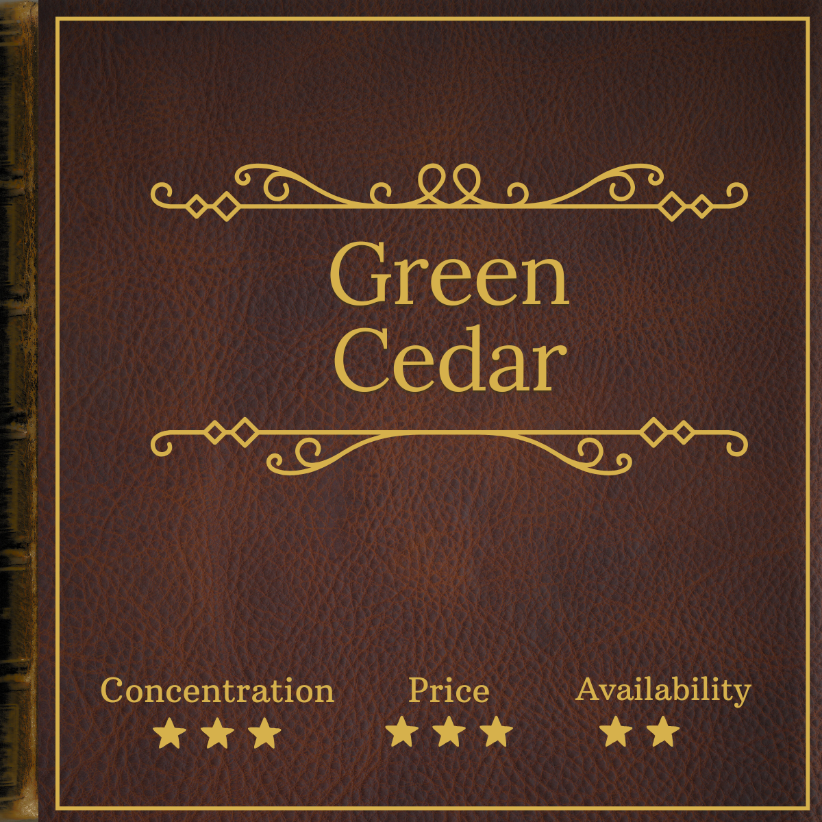 Steam by Perfumer H