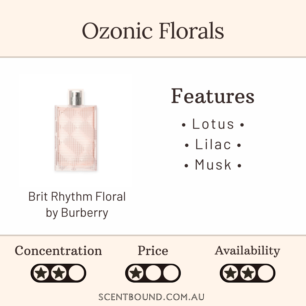 Brit Rhythm Floral by Burberry